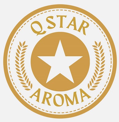 Q Star Aroma Device mark 6210599 Trademark