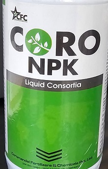 Coro Npk (label) Device mark 6246052 Trademark