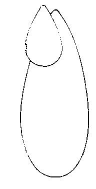 Device Device mark 716199 Trademark