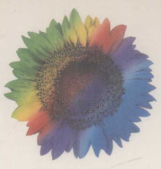 Sunflower (logo) Device mark 784818 Trademark